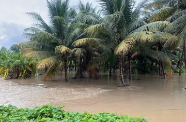 Fuertes lluvias pondrán en peligro los cultivos.