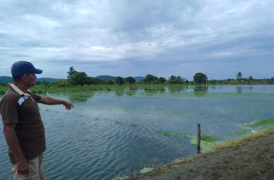 invierno lluvias agrícola manabí