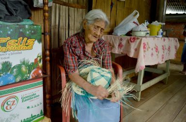 Pilarcita Véliz Saltos es incombustible. A sus 103 años aún realiza la labor de tejer sombreros. Ella reside en la capital de los manabitas.