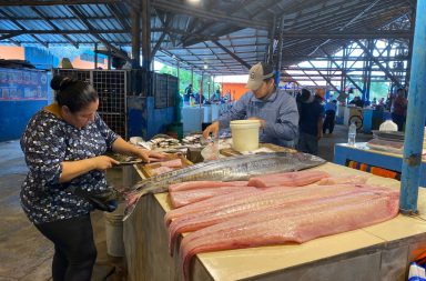 Lluvias también afectan el precios de los mariscos