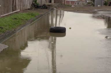 Autoridades intensifican lucha contra el dengue en Manta y Jaramijó