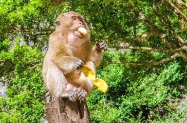 Investigación vincula exportaciones ecuatorianas con hallazgo de droga en Marruecos.